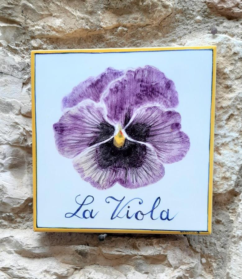 La Viola Di Assisi Hotel Exterior foto