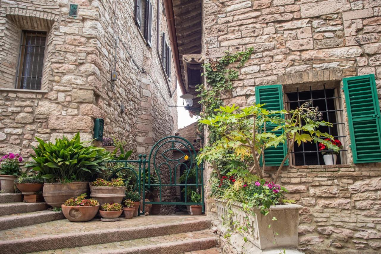 La Viola Di Assisi Hotel Exterior foto